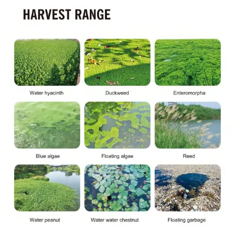 Mini efisien Aquatic Weed Harvester kapal pemotong rumput untuk satu orang untuk mengoperasikan 1